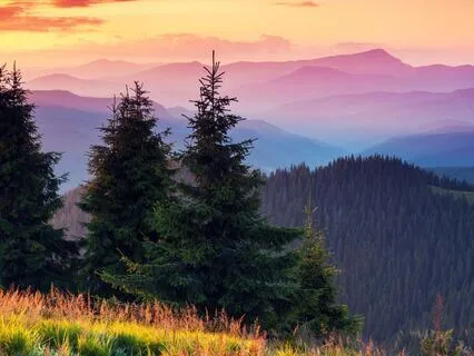 Chakra Alignment (With Frequency Sounds)