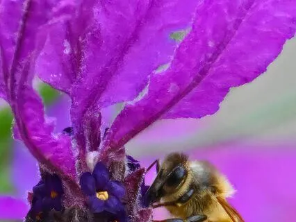 Chakra Balance Meditation