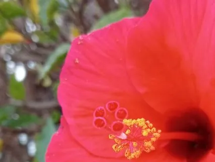 Chakra Balance Meditation