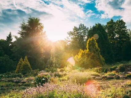 Chakra Balance Symphony