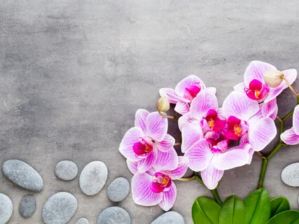 Chakra Balancing Affirmations