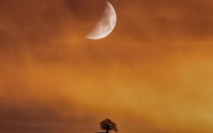 Chakra Balancing & Healing