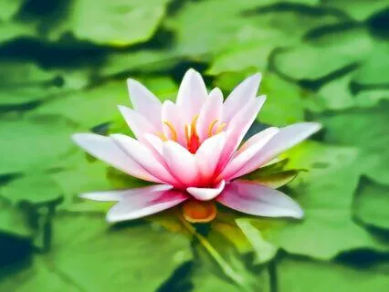 Chakra Balancing And Healing Meditation