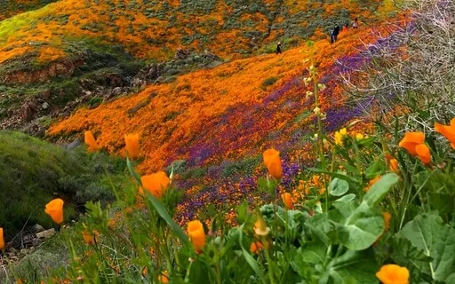 Chakra Balancing & Inner Child Work