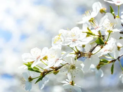 Chakra Balancing For Overall Wellbeing