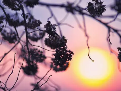 Chakra Balancing Lullaby