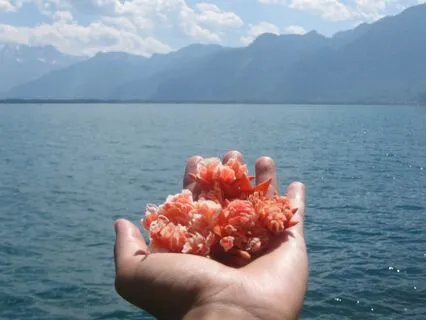 Chakra Balancing Mantra