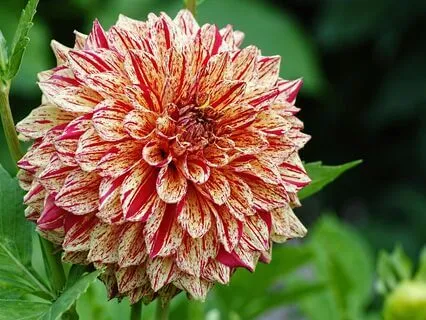 Chakra Balancing Meditation