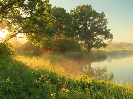 Chakra Balancing Practice For Relaxation & Healing