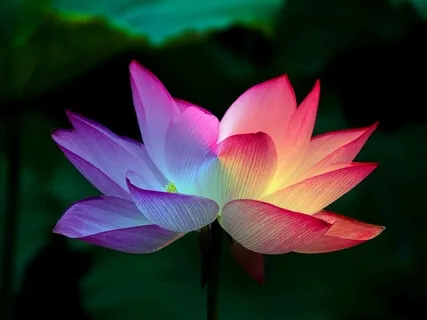 Chakra Balancing Meditation For Healing And Spirituality 