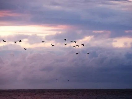 Chakra Balancing Meditation with Journaling - 1 hour