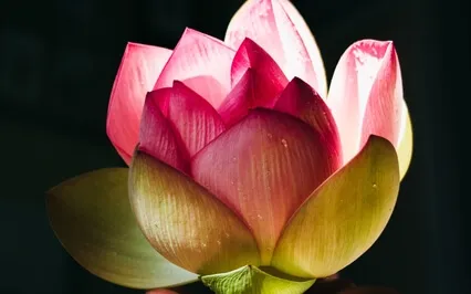 Chakra Balancing Meditation (Without Music)