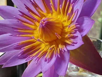 Chakra Balancing Meditation