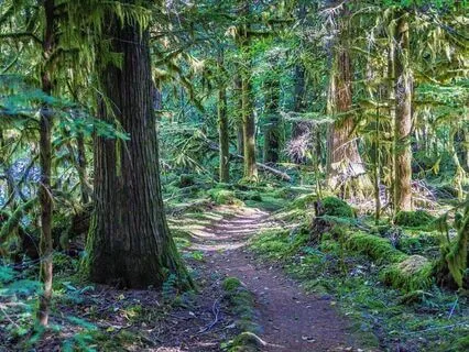 Chakra Balancing (Plus Equanimity) Meditation