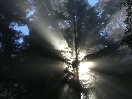 Chakra Balancing - Universal Sphere Experience + Music