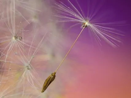 Chakra Based Body Scan