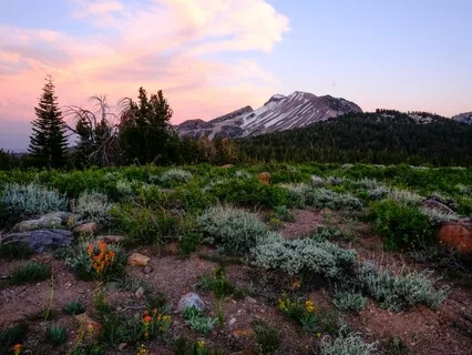Chakra Charge Meditation