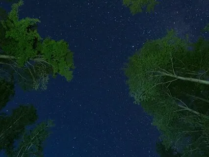 Chakra Chimes - Energy Harmony