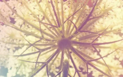 Chakra Cleanse And Energize