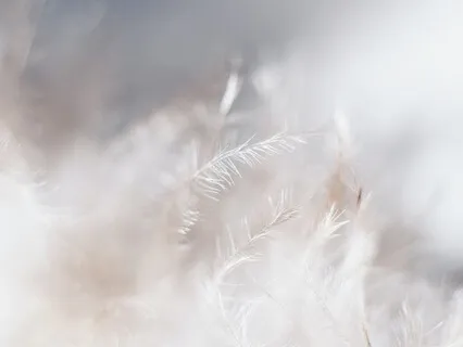 Chakra Cleanse + Balance