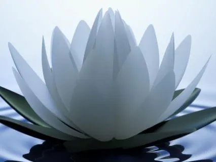 Chakra Cleanse From Earth Star To Crown
