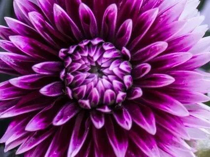 Chakra Cleanse Meditation - 20 Min Daily Insight