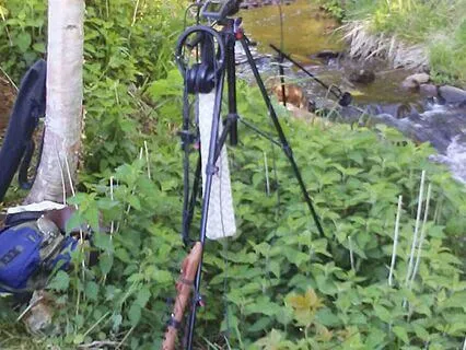 Chakra Cleansing And Activation