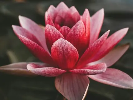 Chakra Cleansing And Balancing