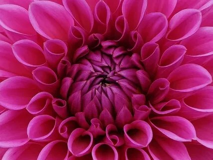 Chakra Cleansing Ho’oponopono Meditation