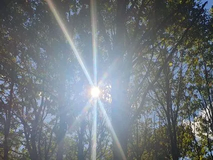 Chakra Cleansing Mediation