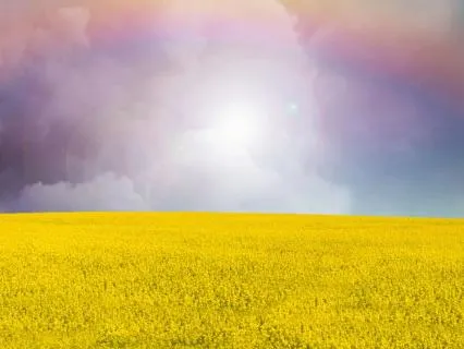 Chakra Cleansing While Sleep (8 Hours)