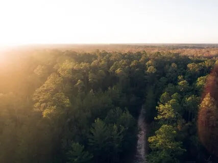 Chakra Clearing & Balancing Using Golden Sun & Positive Affirmations