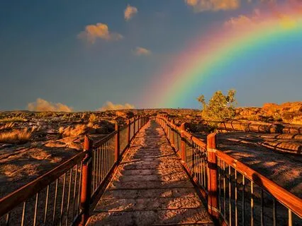 Chakra Clearing & Charging Meditation