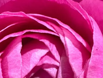 Chakra Clearing Sound Bath