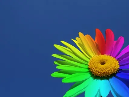 Chakra Clearing With Affirmations