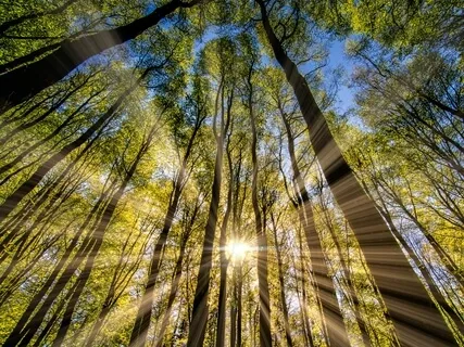 Chakra Clearing For Emotional Healing