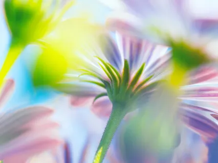 Chakra Colors Practice