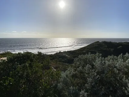 Chakra Dharanam (Concentration Practice)