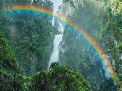 Chakra Fix | Balance All 7 Chakras | All 9 Solfeggio Tones