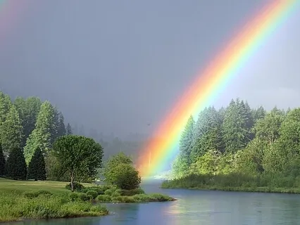 Connecting With The Chakras