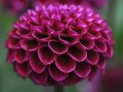 Chakra Harmony Meditation With The Sacred Geometry Of Nature