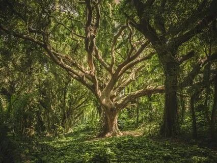 Chakra Harmony: Renewing Your Energy