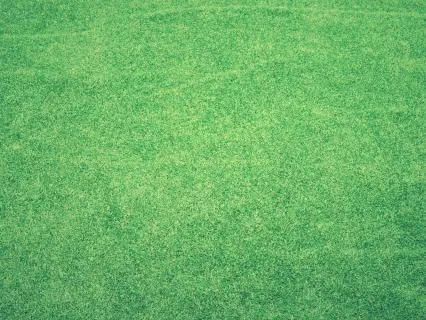 Chakra Healing & Activation Series: Heart Chakra