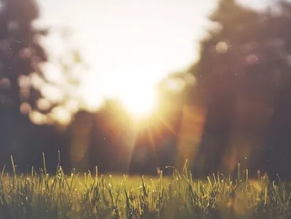 Chakra Healing - Guided Practice