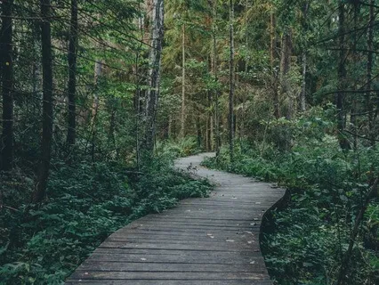 Chakra Healing Practice: Exploring Your Inner Rights