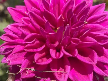 Chakra Healing Meditation (Music By Pablo Arellano)