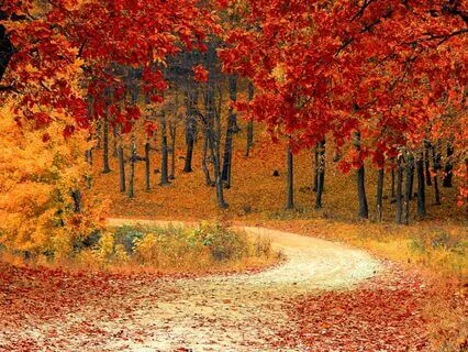 Chakra Healing Meditation With 3Hz Delta For Deep Relaxation