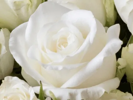 Chakra Healing Meditation With Mother Mary