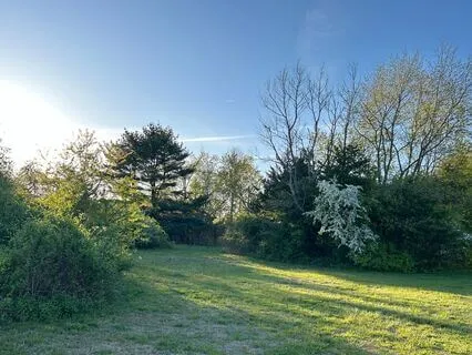 Chakra Healing Visualization