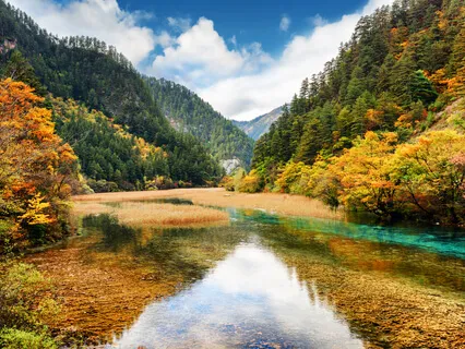 Chakra Healing With Om sound